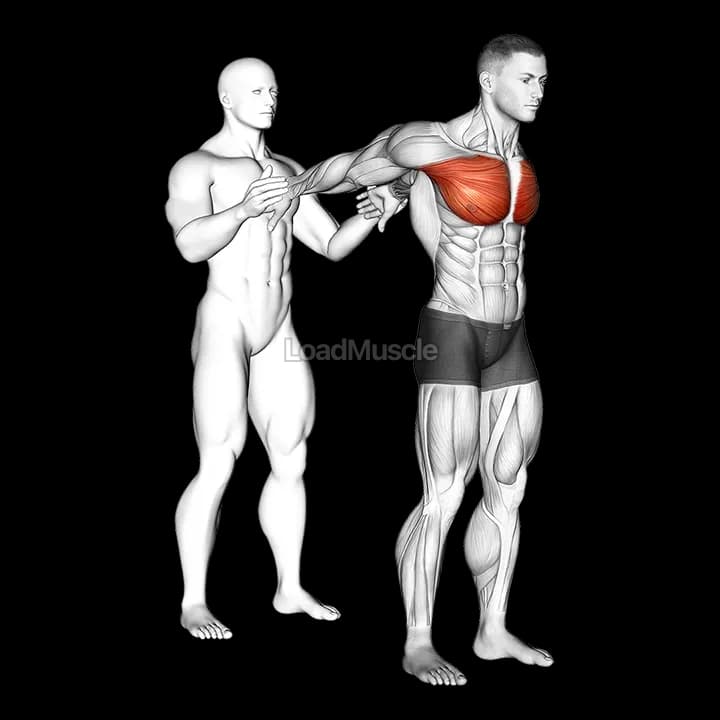 Assisted Standing Chest Stretch: Exercise Guide | LoadMuscle