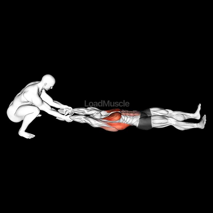 Assisted Straight Arms Lying Stretch: Exercise Guide | LoadMuscle