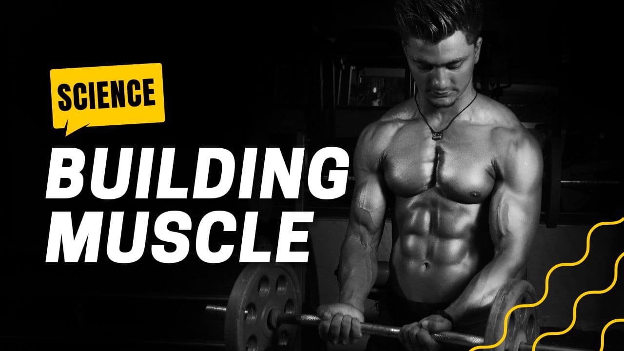 The Science of Building Muscle: How to Actually Grow